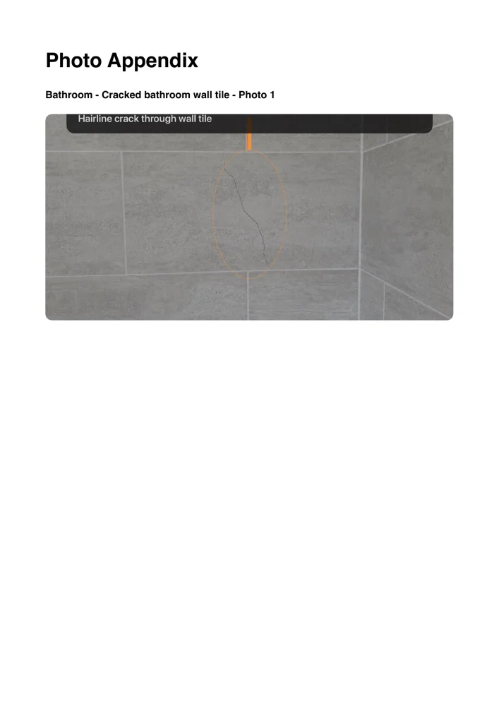 SnagBoard PDF photo evidence preview